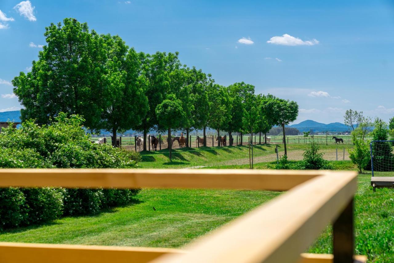 Horse Glamping Park Hotel Cirkovce Luaran gambar